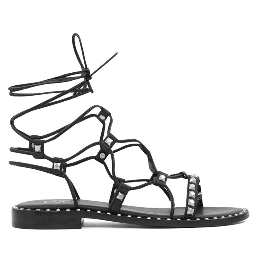 Frauen SANGIORGIO Sandalen | Ash Paloma Schwarze Gladiator-Sandale Mit Silbernen Nieten