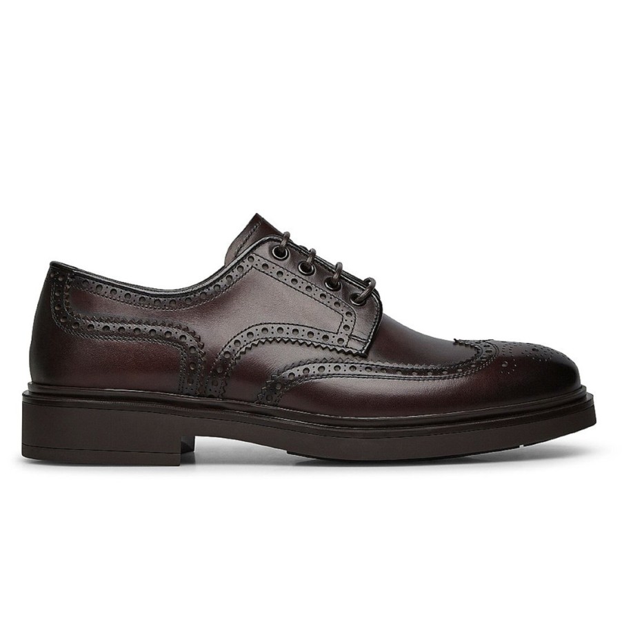 Manner SANGIORGIO Schnuren | Fabi Herren-Full-Brogue-Derby-Schuh Aus Braunem Leder